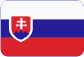Medzinárodná špedícia Slovensky